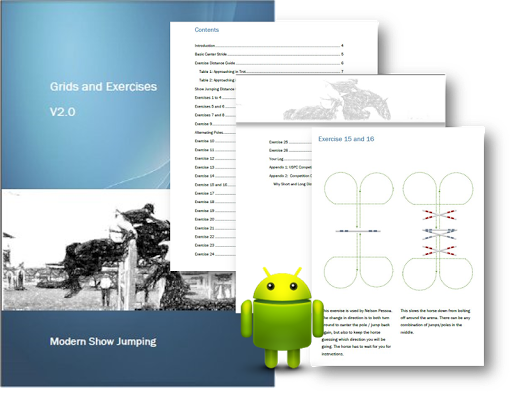 Show Jumping Grids Exercises