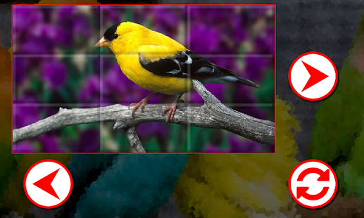 How to mod Birds Puzzles 1.4.0 apk for android