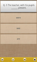 Grammar Express: Correct Usage poster 8