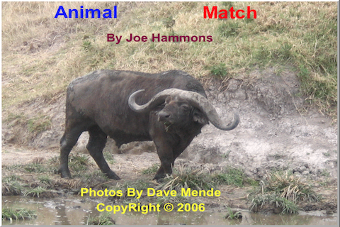 Animal Match