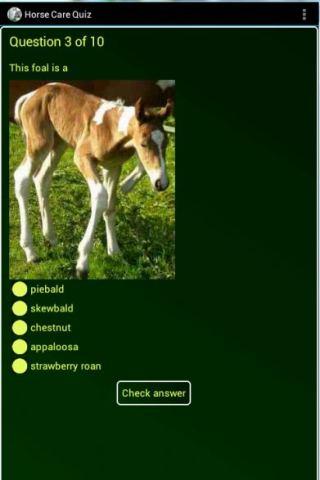 FREE Essential Horse Care Quiz