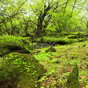 by Unni Krishnan - Landscapes Mountains & Hills