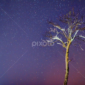 Requiem for a Dying Friend by Loida Cordova - Landscapes Starscapes