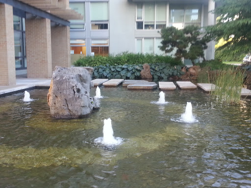 Lava Rock Zen Pool