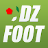 DZfoot2.2