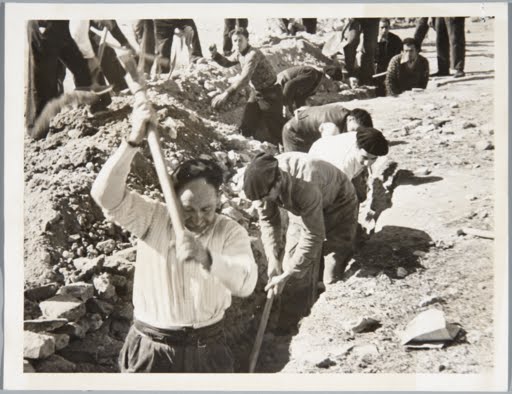 Photograph of men digging trench