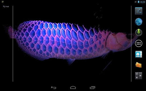 免費下載個人化APP|Arowana 2 Live Wallpaper app開箱文|APP開箱王