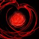 3D lovely Rose 1
