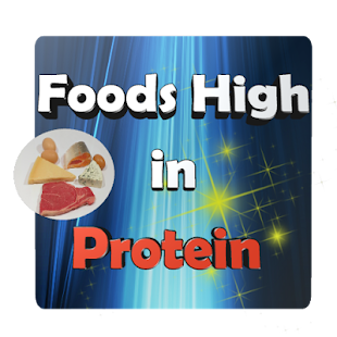 Foods High in Protein