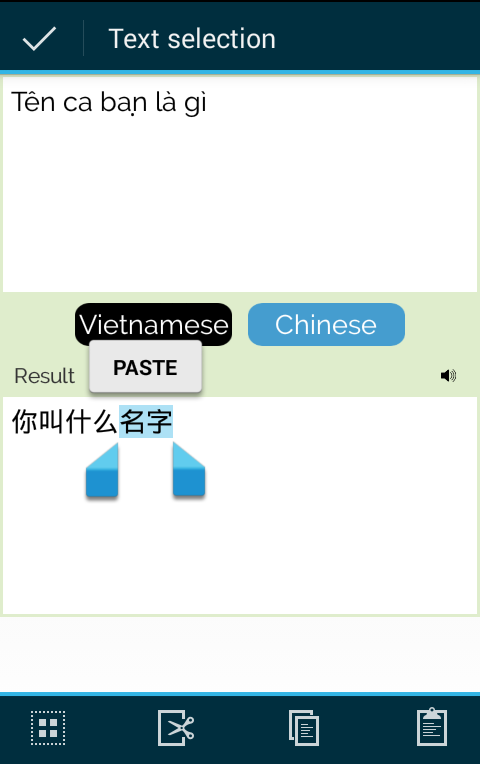 Vietnamese Chinese Translator Screen 2