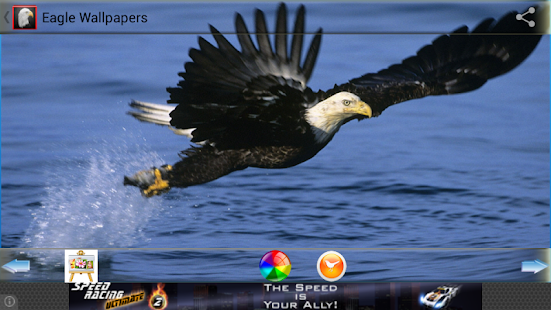 How to install Eagle  wallpapers 4.3 unlimited apk for android