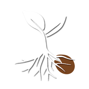 Seed - Controle Financeiro 1.8.03