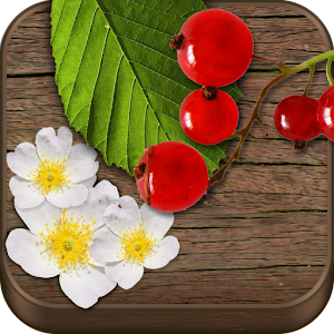 Wild Berries & Herbs PRO.apk