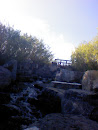 Park Waterfall 