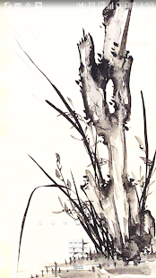 orchid with stone wallpaper Screenshots 0