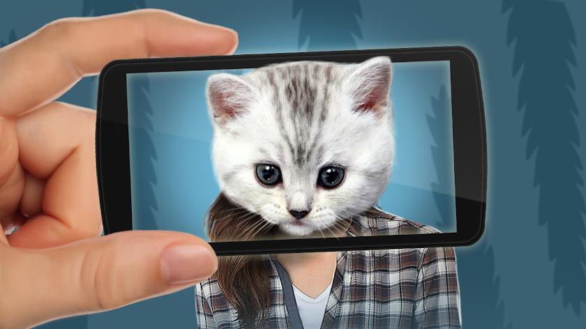 Face scanner: What cat 2 Screen 3