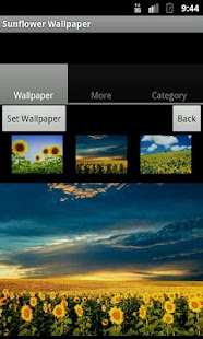 Sunflower Wallpaper Screenshots 4