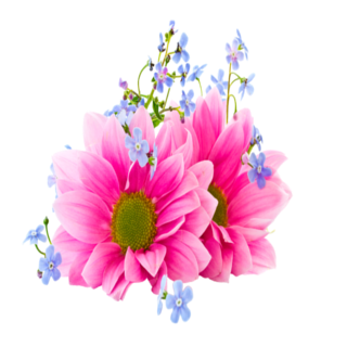 Widgets store: Flower-5