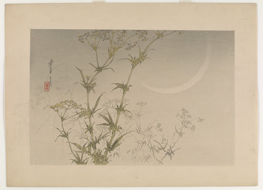 Yellow Patrinia and Moon, from the series Seitei's Flowers and Birds