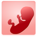 Idade Gestacional logo