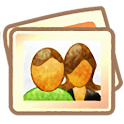 ActivePhoto Widget