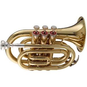 Virtual trumpet 1.5