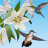 Birds Live Wallpaper mobile app icon