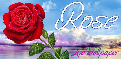 New Magic Real Touch Latex Rose Flowers For wedding ...