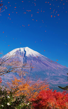 秋の富士山 ライブ壁紙 Androidアプリ Applion