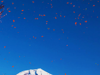 壁紙 スマホ 富士山 写真 262167-壁紙 スマホ 富士山 写���