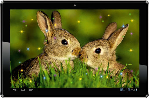 【免費個人化App】Hares Best live wallpaper-APP點子