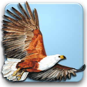 Roberts Multimedia Birds of SA 3.2