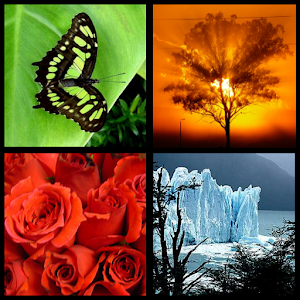Photo Wall FX Live Wallpaper Varies with device