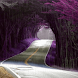 Rain Highway Live Wallpaper