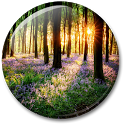 Forest Live Wallpaper icon