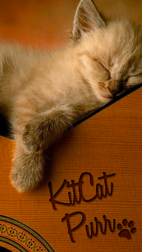 Kit Cat Purr