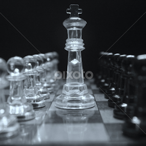Guard of Honour..!! by Prithwish Mondal - Artistic Objects Toys