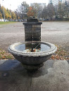 Fontaine De L'étang