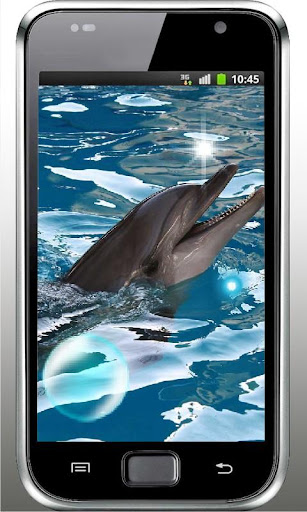 Dolphins Dances live wallpaper