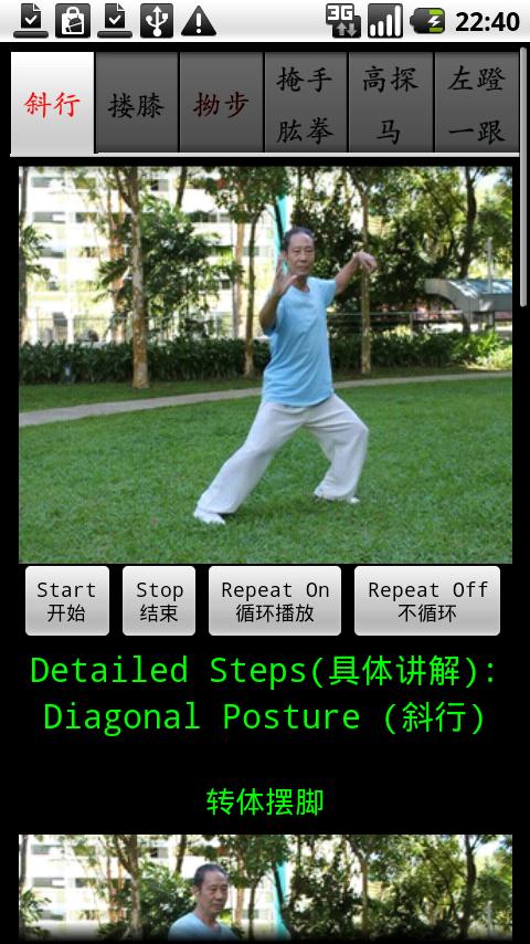 Chen TaiChi18-2 陈氏十八式太极拳2 Screen 1