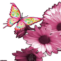 Pink Butterfly Live Wallpaper