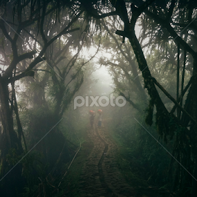 Long Road Home by Rah Juan - Instagram & Mobile iPhone