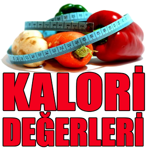 Besinlerin Kalori Değerleri.apk 1.0