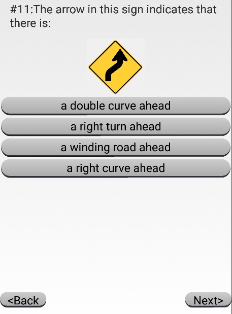 Florida driving permit test online