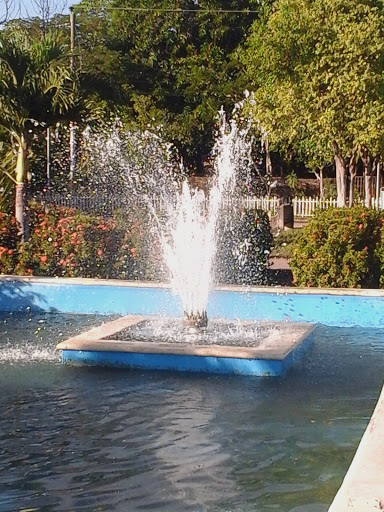 Fuente Del Parque De San Lorenzo