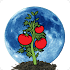 Moon Calendar1.1