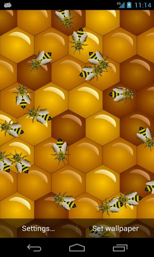 Bee Live Wallpaper