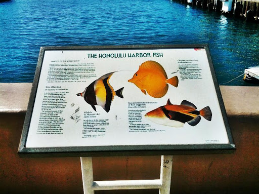 The Honolulu Harbor Fish