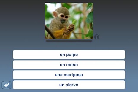 How to download NounStar Language Spanish lastet apk for pc