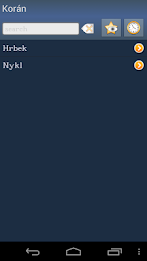 Quran in Czech poster 1